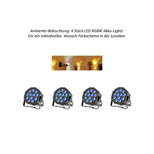 Ambiente-Lights für Geburtstag von DJ Freadmaxx